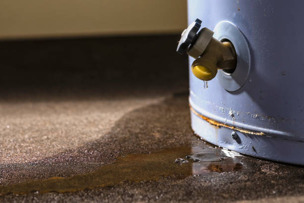 Best Water damage restoration near me  in Crescent City, FL