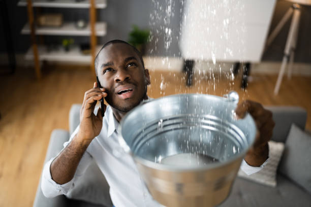 Best Carpet water damage restoration  in Crescent City, FL