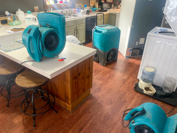 Best Sewage cleanup and water damage restoration  in Crescent City, FL