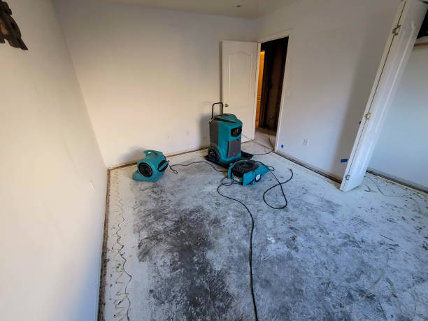 Water damage restoration process in Crescent City, FL