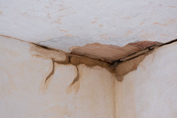 Best Ceiling water damage repair  in Crescent City, FL
