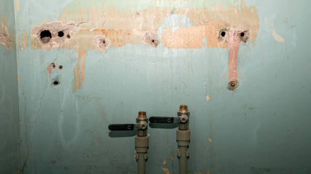 Best Professional water damage repair  in Crescent City, FL