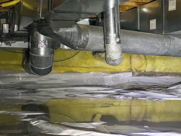 Best Basement water damage restoration  in Crescent City, FL