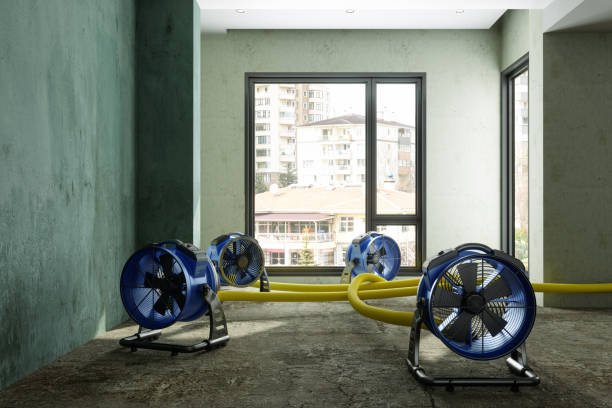 Best 24-hour water damage restoration  in Crescent City, FL